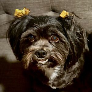 Meet your Posher, Eli